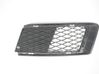 Front grill 