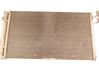 A/C cooling radiator (condenser) 9169526