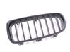 Atrapa chłodnicy / Grill 7260497