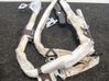 Airbag del techo 6966646