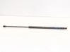 Tailgate/trunk strut/damper 95095594
