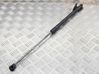 Tailgate/trunk strut/damper BM51A406A10AE