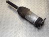 Rear shock absorber/damper 