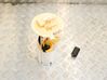 In-tank fuel pump 