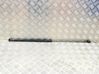 Front bonnet/hood damper/strut 5360821