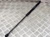 Tailgate/trunk strut/damper 31395607