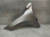Fender 31651675