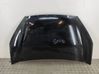 Motorhaube PAM21U16610AC