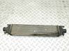 Radiator intercooler 50532811