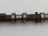 Camshaft 7570503