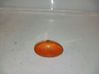 Front fender indicator light 