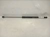 Tailgate/trunk strut/damper 