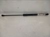 Tailgate/trunk strut/damper 