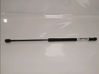 Tailgate/trunk strut/damper 