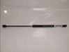 Tailgate/trunk strut/damper 