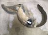 Front wheel arch liner splash guards 
