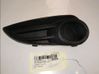 Front fog light trim/grill 
