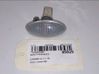 Front fender indicator light 