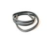 Rear door rubber seal (on body) 7119966