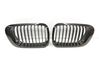 Front grill NRKBMWE46