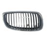 Front bumper upper radiator grill 
