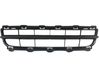 Front grill 
