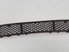 Front bumper upper radiator grill 