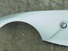 Fender BLOTNIKLEWY