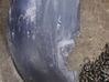 Nadkole tylne 7L5810972