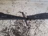 Moldura de la aleta (moldura) 668630011R