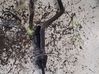 Siłownik sprzęgła / Wysprzęglik 