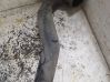 Intercooler hose/pipe 349903080
