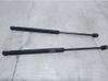 Tailgate/trunk/boot lid buffer 