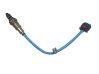 Sonde lambda KX619Y460CA
