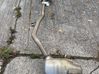 Muffler/silencer R8B25L219AB