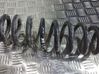 Rear coil spring 