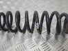 Rear coil spring 