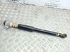 Rear shock absorber/damper 