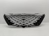 Kühlergrill 602002763AA