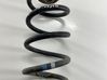 Rear coil spring 