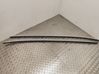 Roof bar rail 738208919R
