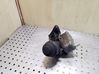 Oil filter mounting bracket 7787072