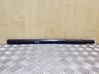 Rear door glass trim molding 