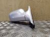 Front door electric wing mirror E10117362