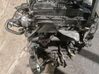 Motor F1C