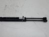Front bonnet/hood damper/strut 152820067