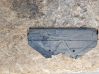 Radiator trim 7128503