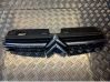 Front grill 9636751980