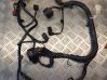 Engine installation wiring loom 8541A790