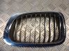 Front grill 8208671